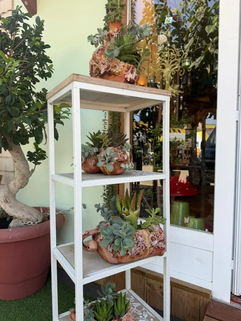 imgi_10_planta3
