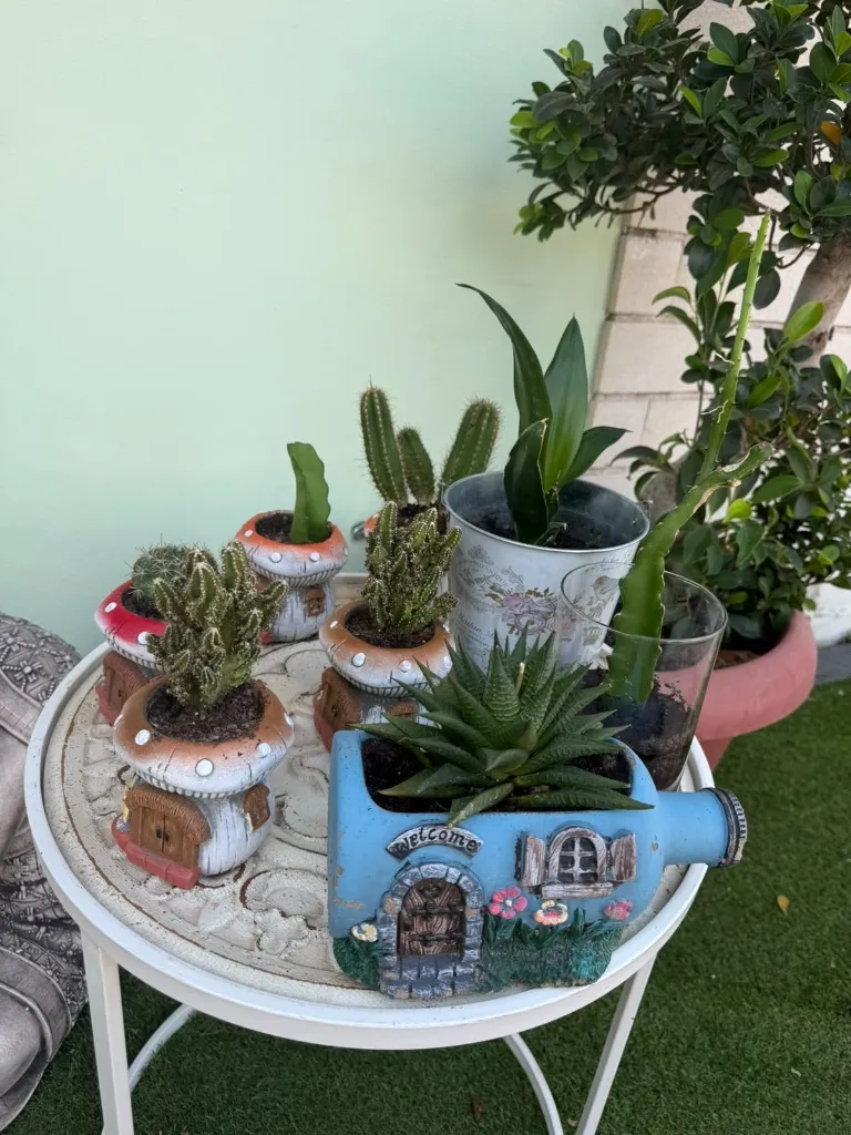 imgi_3_planta2