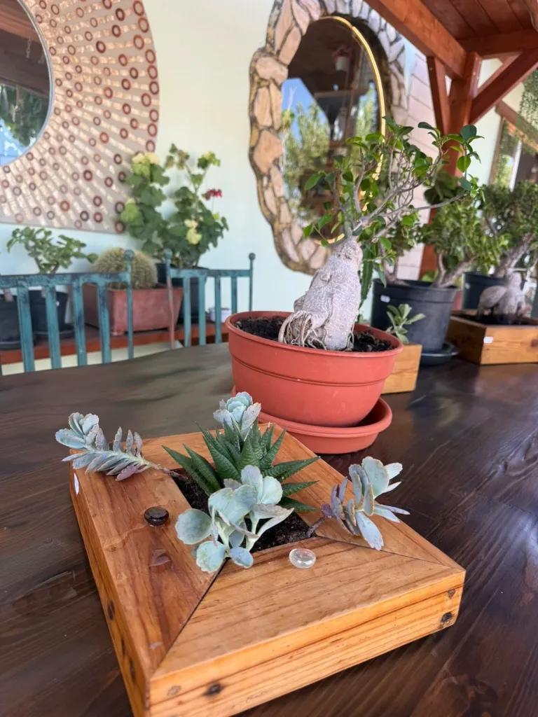 imgi_4_planta4